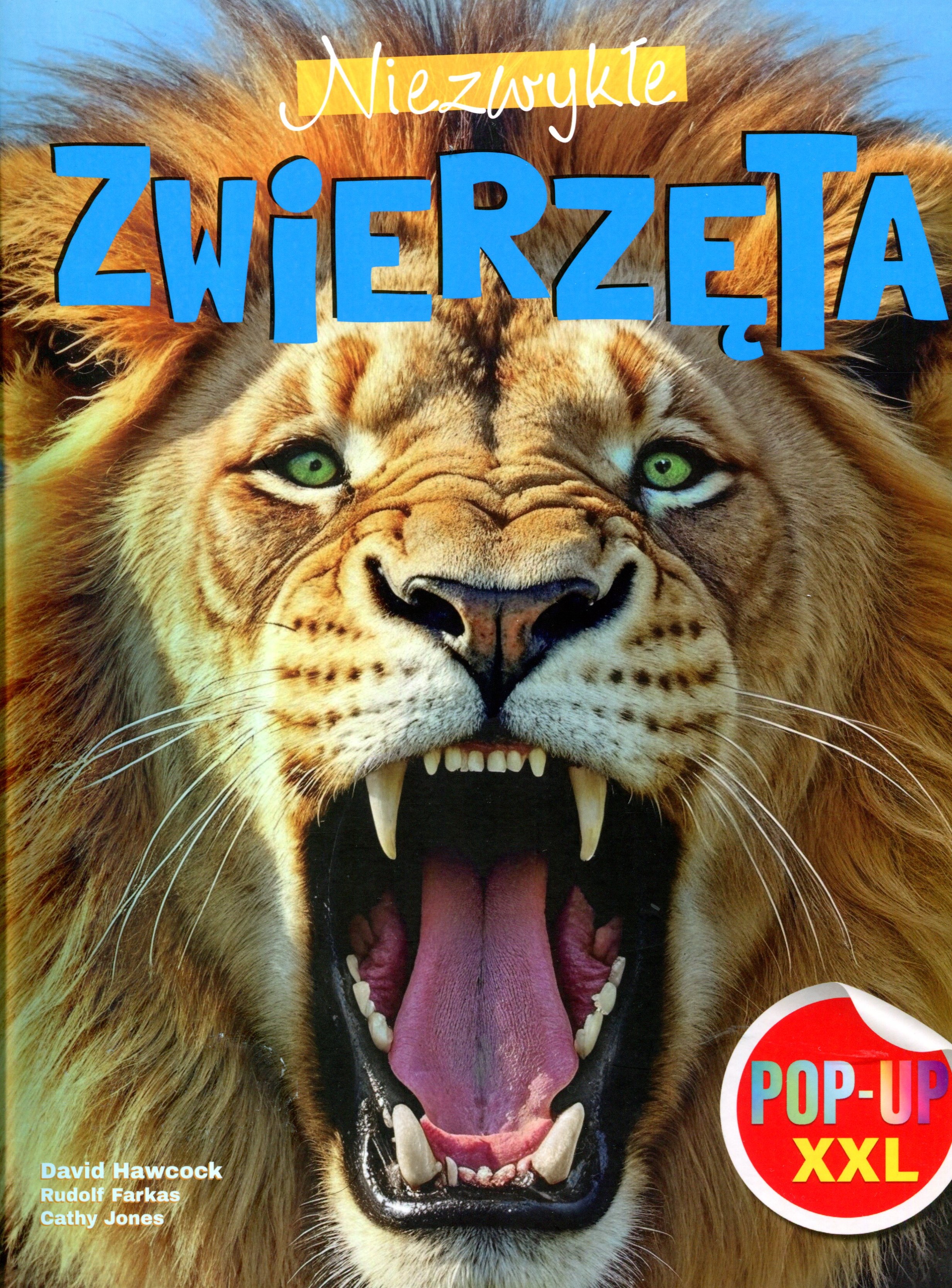 okładka