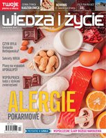 okłada najnowszego numeru Wiedza i Życie