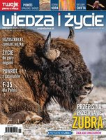 okłada najnowszego numeru Wiedza i Życie