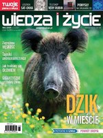 okłada najnowszego numeru Wiedza i Życie